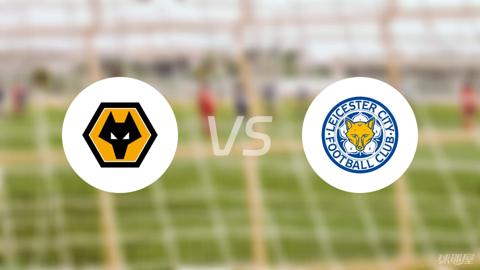 解析明尼苏达双城的核心阵容