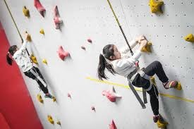 杨瀚森机会来了？克林根&罗威都将缺席今天对阵灰熊的比赛